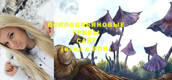 MESCALINE Белокуриха