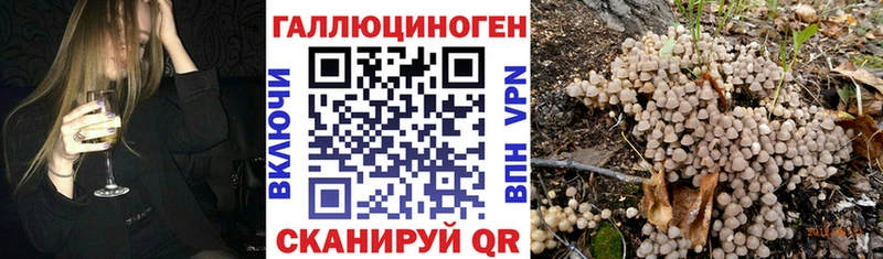 что такое   Онега  Галлюциногенные грибы ЛСД 